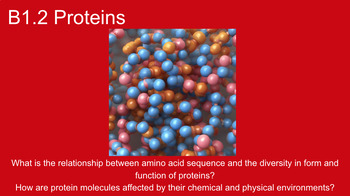 Preview of B1.2 Proteins Slideshow, HL and SL Guided Notes, and Teacher Key BUNDLE