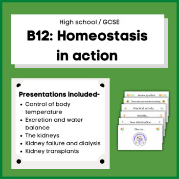 Preview of B12 Homeostasis in action (GCSE)