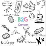 B2G 13 - Cancer