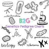 B2G 15 - Genetics: Pedigree Charts