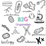B2G 6 - Organelles