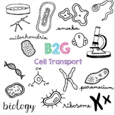 B2G 8 - Cell Transport