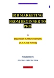 B2b Marketing from beginner to Pro