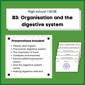 Biology Digestive System Worksheets Teaching Resources Tpt
