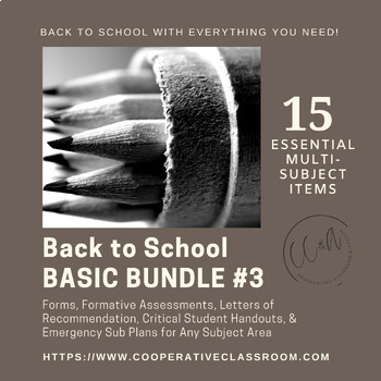 Preview of BUNDLE #3 | MULTI-SUBJECT | CRITICAL LITERACY | HANDOUTS | ++PLUS | (*AP)