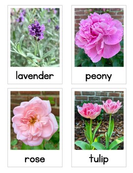 BACKYARD BLOOMS (Flowers) | Montessori 3-Part Cards by Rooted in Learning