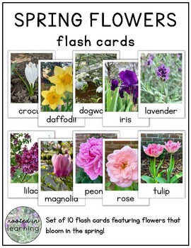 Preview of Spring Flowers Flash Cards