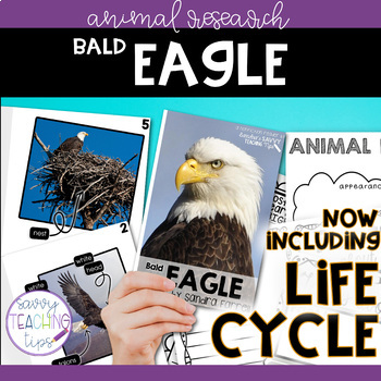 Preview of Animal Research and Life Cycle - BALD EAGLE