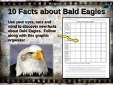 BALD EAGLES: 10 facts. Fun, engaging PPT (w links & free g