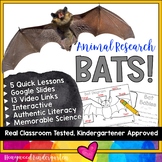 BATS . 5 days of engaging animal research . fun as Fall Ha