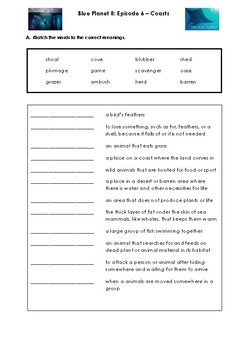 blue planet dvd coasts answer key