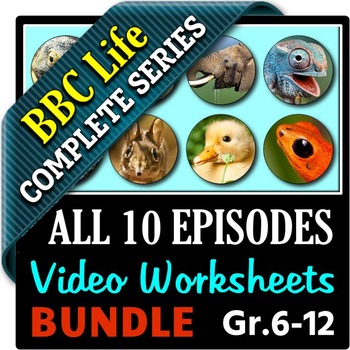 Preview of BBC Life - All 10 Episodes - Video Questions Worksheets Bundle {Editable}