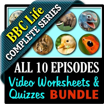 Preview of BBC Life - All 10 Episodes - Video Worksheets & Video Quizzes Bundle {Editable}