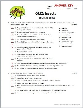 Bbc Life Insects Video Quiz Editable By Tangstar Science Tpt