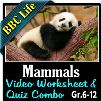 BBC Life - MAMMALS - Video Worksheet & Quiz Combo Editable | TpT