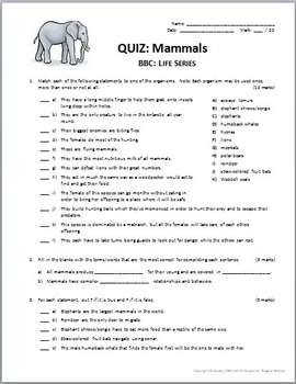 BBC Life - MAMMALS - Video Worksheet & Quiz Combo Editable | TpT