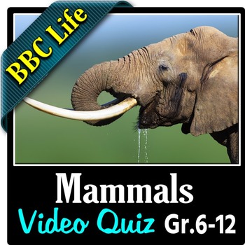 BBC Life - MAMMALS - Video Quiz Editable by Tangstar Science | TPT