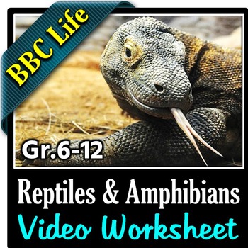 BBC Life - REPTILES AND AMPHIBIANS - Video Worksheet Editable | TPT