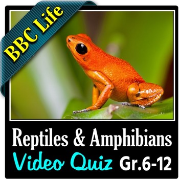 BBC Life - REPTILES AND AMPHIBIANS - Video Quiz Editable by Tangstar