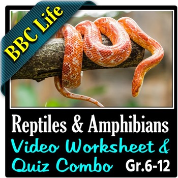 BBC Life - REPTILES AND AMPHIBIANS - Video Worksheet & Quiz Combo