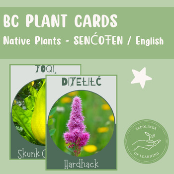 Preview of BC Indigenous Plant Identification Cards