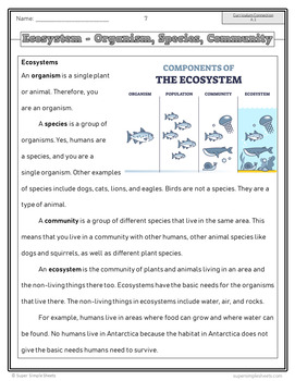 bc science grade 3 biodiversity by super simple sheets tpt