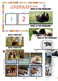 BEAR Predictions, Sequencing, and Problem-Solving Fun for 
