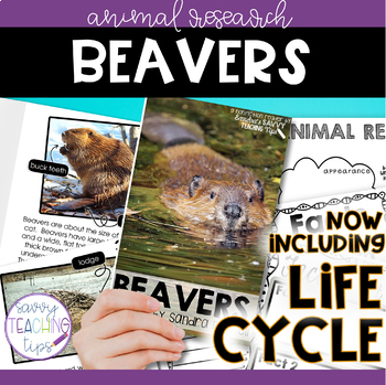 Preview of Animal Research and Life Cycle - BEAVER