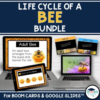 Preview of BEE Life Cycle BOOM CARDS + Slideshow + Templates BUNDLE for Google Slides™