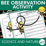 BEE OBSERVATION ACTIVITY AND LESSON - INSECT RESEARCH