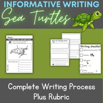 Preview of BEGINNER - Informative Writing Sea Turtles