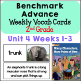 BENCHMARK ADVANCE Visual Vocab Cards: 2nd Grade Unit 4 *FL
