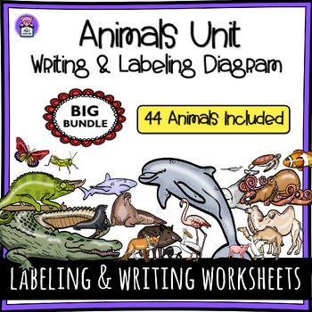 Preview of BIG BUNDLE - Animals Informative Writing and Labeling