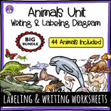 BIG BUNDLE - Animals Informative Writing and Labeling