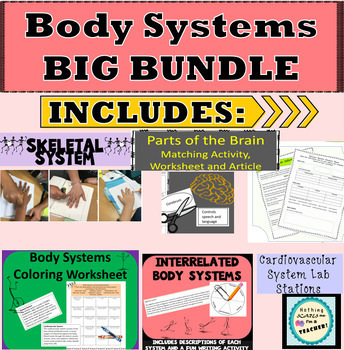 Preview of Body Systems Bundle Hands On Activities Worksheets Labs Articles