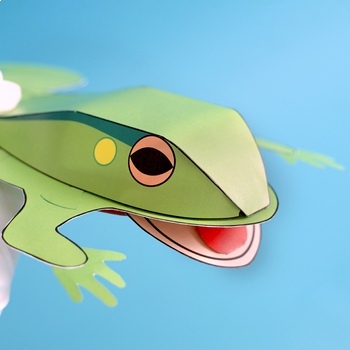 Preview of BIG Frog Model + Dissection (3D Pop-Up & Anatomy Vocabulary)