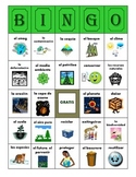 BINGO:  El Medio Ambiente