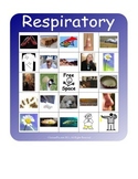 BINGO!  Respiratory System Terminology