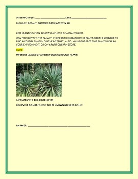 Preview of BIOLOGY/BOTANY: SUMMER CAMP ACTIVITIES 6 TO 9, W. ANS KEY/LEAVES:TUBERS