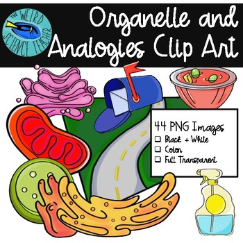 Preview of BIOLOGY CLIP ART: Cell Organelle and Analogies great for Review & Matching Games