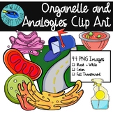 BIOLOGY CLIP ART: Cell Organelle and Analogies great for R