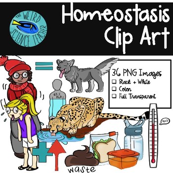 Preview of BIOLOGY Clip Art: Homeostasis