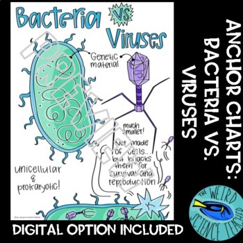 BIOLOGY / LIFE SCIENCE SCAFFOLDED NOTES/ANCHOR CHART: Bacteria vs. Viruses