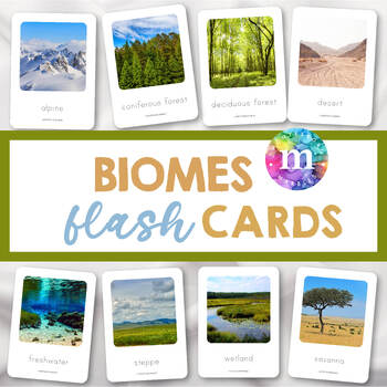 Flashcards - Taiga Plants List & Flashcards