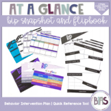 BIP at a Glance | BIP Snapshot and Flipbook | Editable, Fi