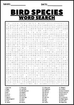 Preview of BIRD SPECIES Word Search Puzzle Middle School Fun Activity Vocabulary Worksheet