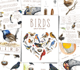 BIRD Unit Study, Life Cycle, Anatomy, Nature Study, Science