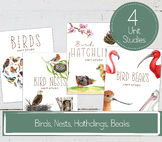 BIRDS UNITS BUNDLE, Birds, Nests, Hatchlings, Beaks Units