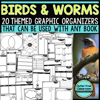 birds and worms activity