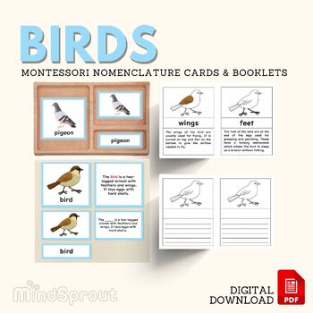 Preview of BIRDS Zoology Unit Study Parts of Birds Montessori Nomenclature Cards Booklets